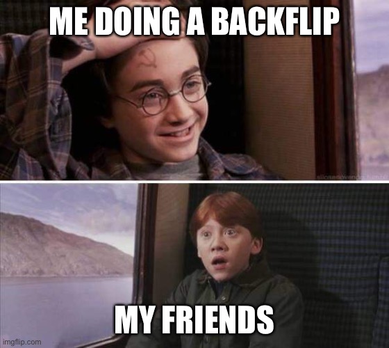 Yes. Just yes. | ME DOING A BACKFLIP; MY FRIENDS | image tagged in communism will sin harry potter | made w/ Imgflip meme maker