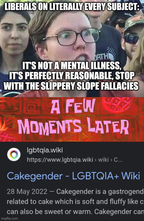  LIBERALS ON LITERALLY EVERY SUBJECT:; IT'S NOT A MENTAL ILLNESS, IT'S PERFECTLY REASONABLE, STOP WITH THE SLIPPERY SLOPE FALLACIES | image tagged in triggered liberal,a few moments later | made w/ Imgflip meme maker