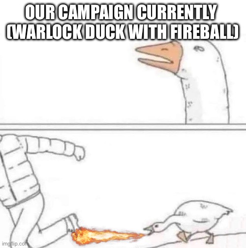 Goose Chase | OUR CAMPAIGN CURRENTLY 
(WARLOCK DUCK WITH FIREBALL) | image tagged in goose chase | made w/ Imgflip meme maker