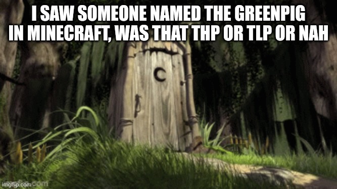 Forgor to change to Ariel :skull: | I SAW SOMEONE NAMED THE GREENPIG IN MINECRAFT, WAS THAT THP OR TLP OR NAH | made w/ Imgflip meme maker