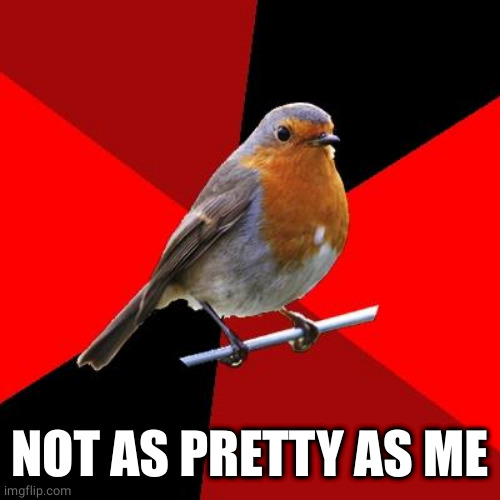 Retail Robin | NOT AS PRETTY AS ME | image tagged in retail robin | made w/ Imgflip meme maker