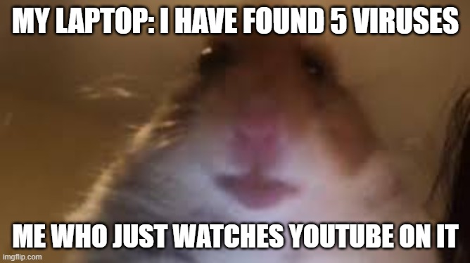 my laptop actually got virus | MY LAPTOP: I HAVE FOUND 5 VIRUSES; ME WHO JUST WATCHES YOUTUBE ON IT | image tagged in facetime hamster | made w/ Imgflip meme maker