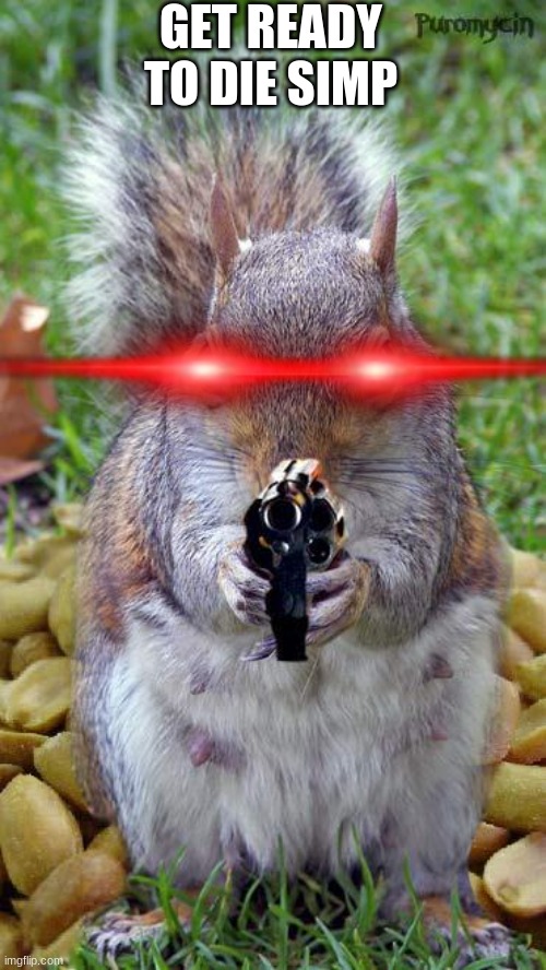 no simps | GET READY TO DIE SIMP | image tagged in funny squirrels with guns 5 | made w/ Imgflip meme maker
