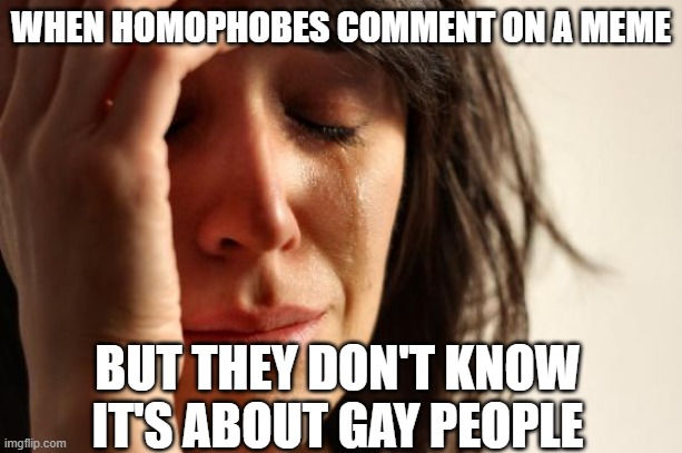 First World Problems Meme | WHEN HOMOPHOBES COMMENT ON A MEME; BUT THEY DON'T KNOW IT'S ABOUT GAY PEOPLE | image tagged in memes,lgbtq | made w/ Imgflip meme maker