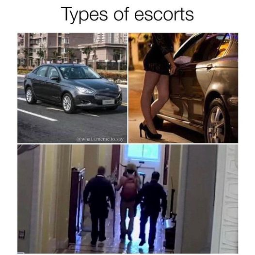 High Quality Types of Escorts Blank Meme Template