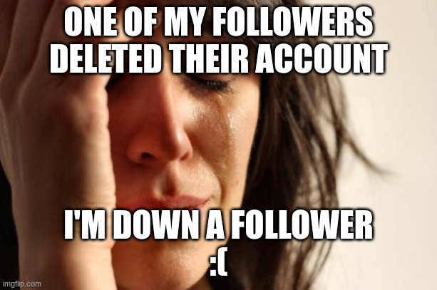 First World Problems | ONE OF MY FOLLOWERS DELETED THEIR ACCOUNT; I'M DOWN A FOLLOWER
:( | image tagged in memes,first world problems | made w/ Imgflip meme maker