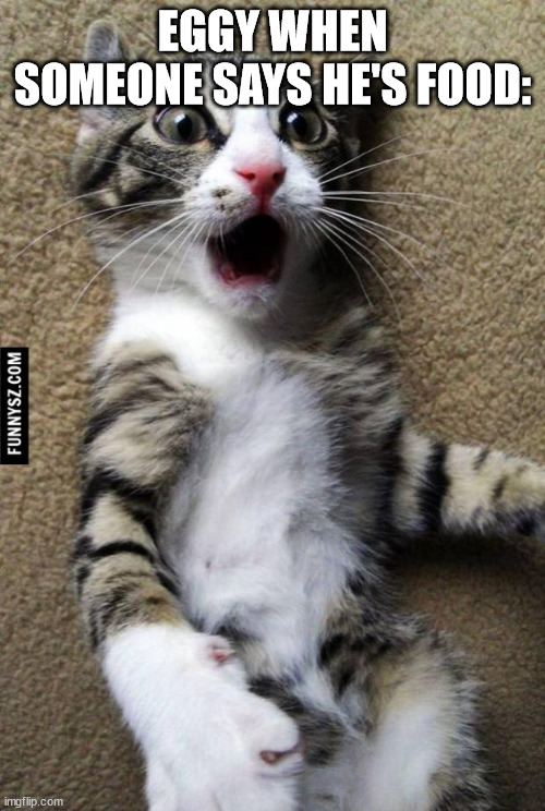 slander 4 | EGGY WHEN SOMEONE SAYS HE'S FOOD: | image tagged in suprised cat | made w/ Imgflip meme maker