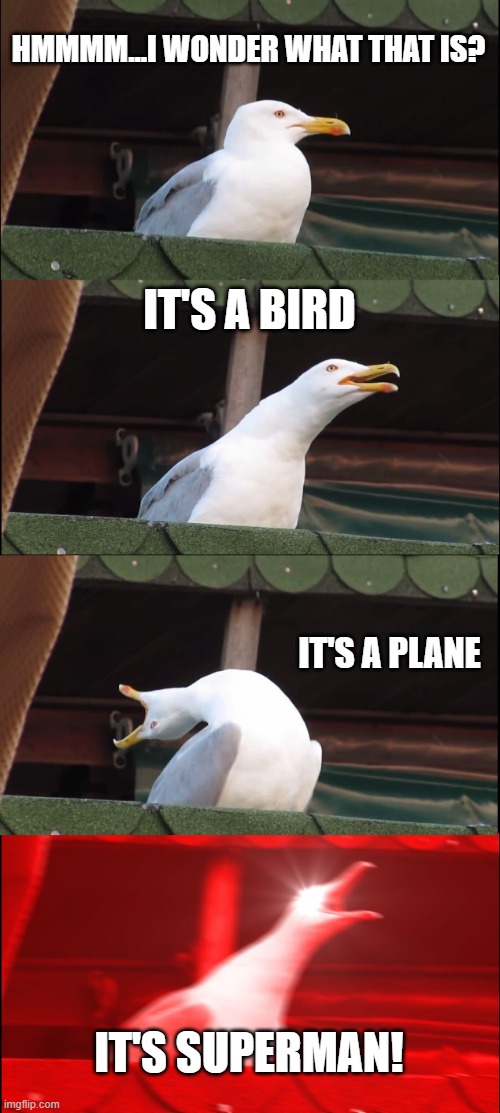 Inhaling Seagull | HMMMM...I WONDER WHAT THAT IS? IT'S A BIRD; IT'S A PLANE; IT'S SUPERMAN! | image tagged in memes,inhaling seagull | made w/ Imgflip meme maker