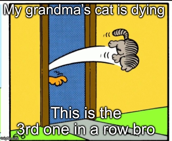 s | My grandma’s cat is dying; This is the 3rd one in a row bro | image tagged in nermal gets kicked out | made w/ Imgflip meme maker