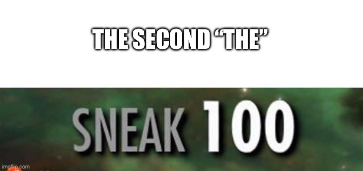 Stealth 100 Skyrim | THE SECOND “THE” | image tagged in stealth 100 skyrim | made w/ Imgflip meme maker