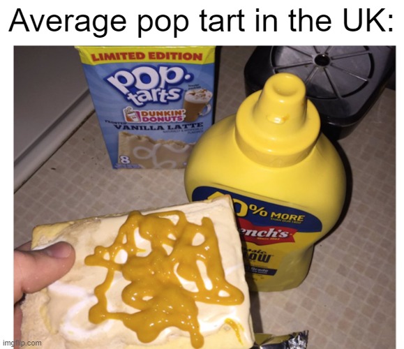 Average pop tart in the UK: | image tagged in gross,food,memes | made w/ Imgflip meme maker