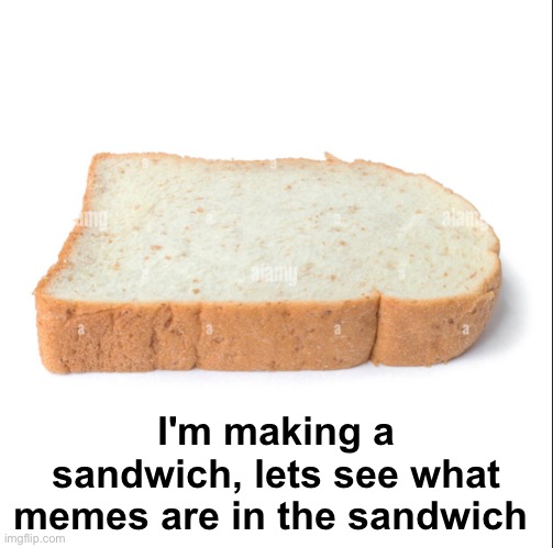 Bottom Slice | I'm making a sandwich, lets see what memes are in the sandwich | image tagged in memes,unfunny | made w/ Imgflip meme maker