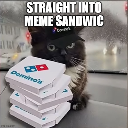 Dominos Cat | STRAIGHT INTO MEME SANDWIC | image tagged in dominos cat | made w/ Imgflip meme maker