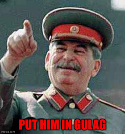 Stalin says | PUT HIM IN GULAG | image tagged in stalin says | made w/ Imgflip meme maker