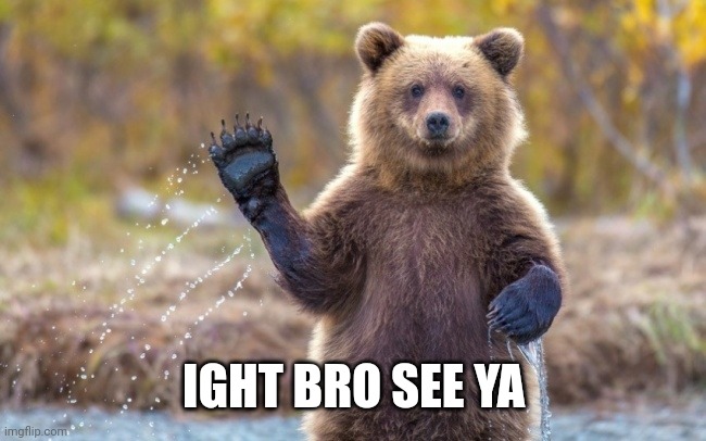 bye bye bear | IGHT BRO SEE YA | image tagged in bye bye bear | made w/ Imgflip meme maker