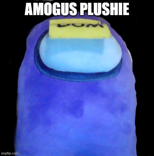 no i wont show you my room | AMOGUS PLUSHIE | made w/ Imgflip meme maker