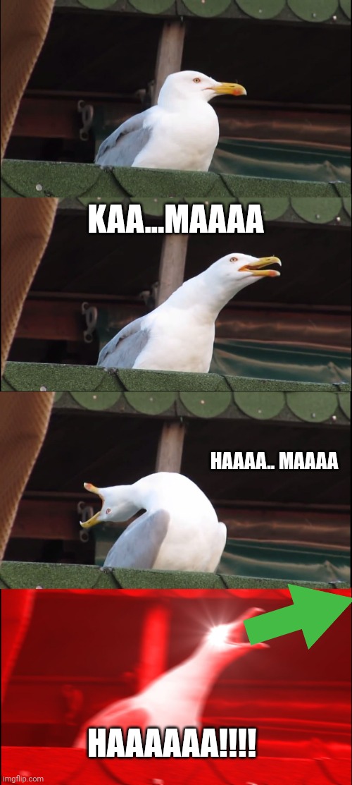 Inhaling Seagull | KAA...MAAAA; HAAAA.. MAAAA; HAAAAAA!!!! | image tagged in memes,inhaling seagull | made w/ Imgflip meme maker