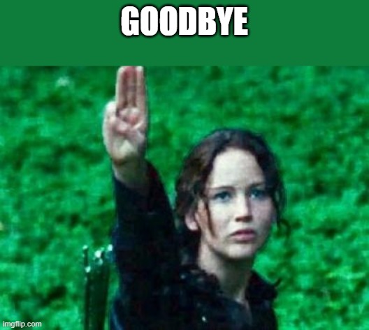 bye | GOODBYE | image tagged in katniss salute | made w/ Imgflip meme maker