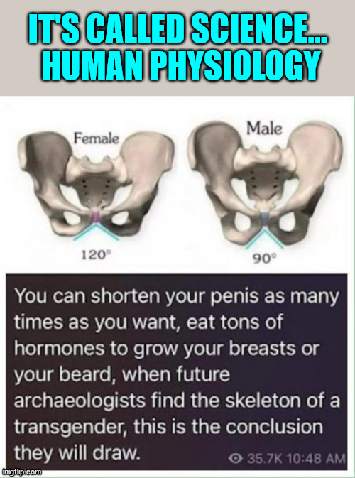 IT'S CALLED SCIENCE...  HUMAN PHYSIOLOGY | made w/ Imgflip meme maker
