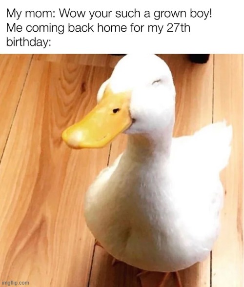 Compliments don’t change with time | image tagged in memes,funny | made w/ Imgflip meme maker