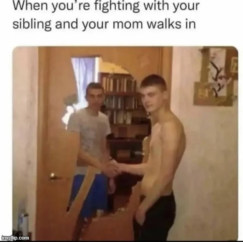 We were not fighting mom…. | image tagged in memes,funny | made w/ Imgflip meme maker