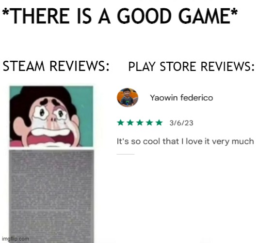 Steam Vs Google Playstore | *THERE IS A GOOD GAME*; ████████████████; PLAY STORE REVIEWS:; ████████; STEAM REVIEWS: | image tagged in relatable,memes,funny,steam | made w/ Imgflip meme maker