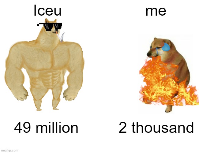 Buff Doge vs. Cheems Meme | Iceu; me; 49 million; 2 thousand | image tagged in memes,buff doge vs cheems | made w/ Imgflip meme maker
