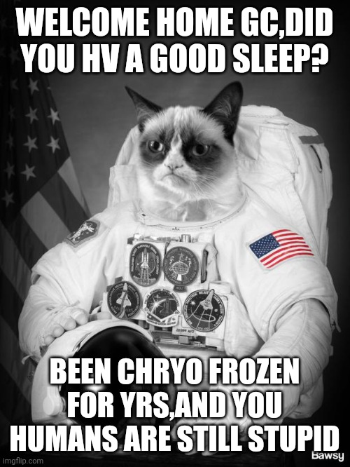 Grumpy Spacecat | WELCOME HOME GC,DID YOU HV A GOOD SLEEP? BEEN CHRYO FROZEN FOR YRS,AND YOU HUMANS ARE STILL STUPID | image tagged in grumpy spacecat | made w/ Imgflip meme maker