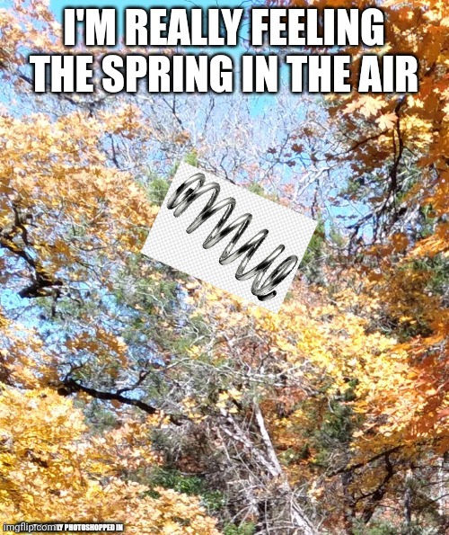 Did someone make this already? | I'M REALLY FEELING THE SPRING IN THE AIR; YES, IT'S BADLY PHOTOSHOPPED IN | image tagged in funny,memes | made w/ Imgflip meme maker