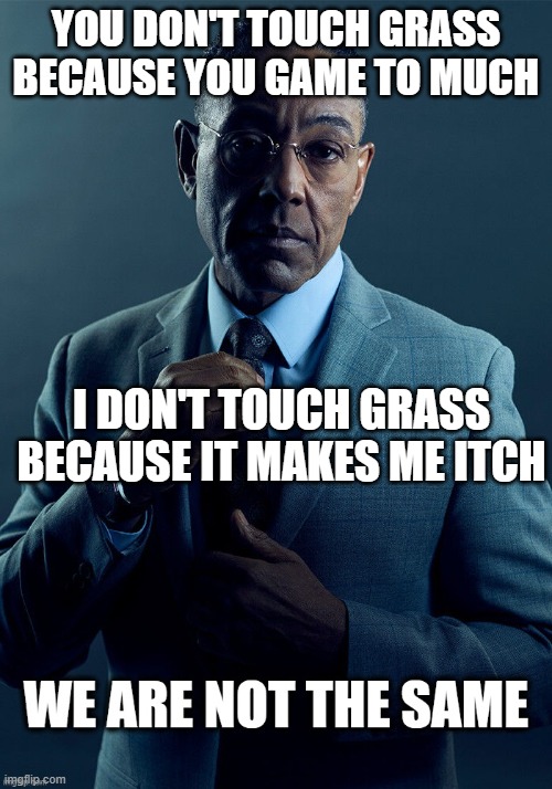 grass | YOU DON'T TOUCH GRASS BECAUSE YOU GAME TO MUCH; I DON'T TOUCH GRASS BECAUSE IT MAKES ME ITCH | image tagged in we are not the same | made w/ Imgflip meme maker