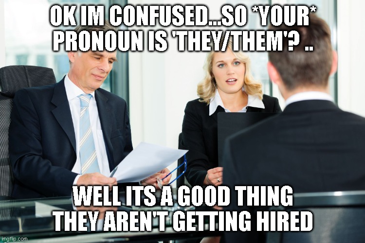 job interview | OK IM CONFUSED...SO *YOUR* PRONOUN IS 'THEY/THEM'? .. WELL ITS A GOOD THING THEY AREN'T GETTING HIRED | image tagged in job interview | made w/ Imgflip meme maker