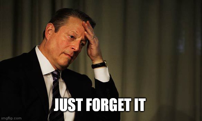 Al Gore Facepalm | JUST FORGET IT | image tagged in al gore facepalm | made w/ Imgflip meme maker