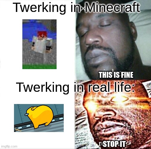 Twerking | Twerking in Minecraft; THIS IS FINE; Twerking in real life:; STOP IT | image tagged in memes,sleeping shaq | made w/ Imgflip meme maker