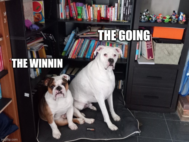 The Going and the winnin | THE GOING; THE WINNIN | image tagged in the going and the winnin | made w/ Imgflip meme maker