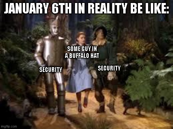 Wizard of Oz | JANUARY 6TH IN REALITY BE LIKE:; SOME GUY IN A BUFFALO HAT; SECURITY; SECURITY | image tagged in wizard of oz | made w/ Imgflip meme maker