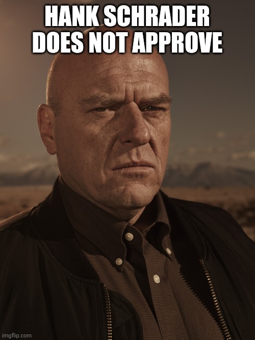 Hank Schrader - Breaking Bad - Dean Norris | HANK SCHRADER DOES NOT APPROVE | image tagged in hank schrader - breaking bad - dean norris | made w/ Imgflip meme maker