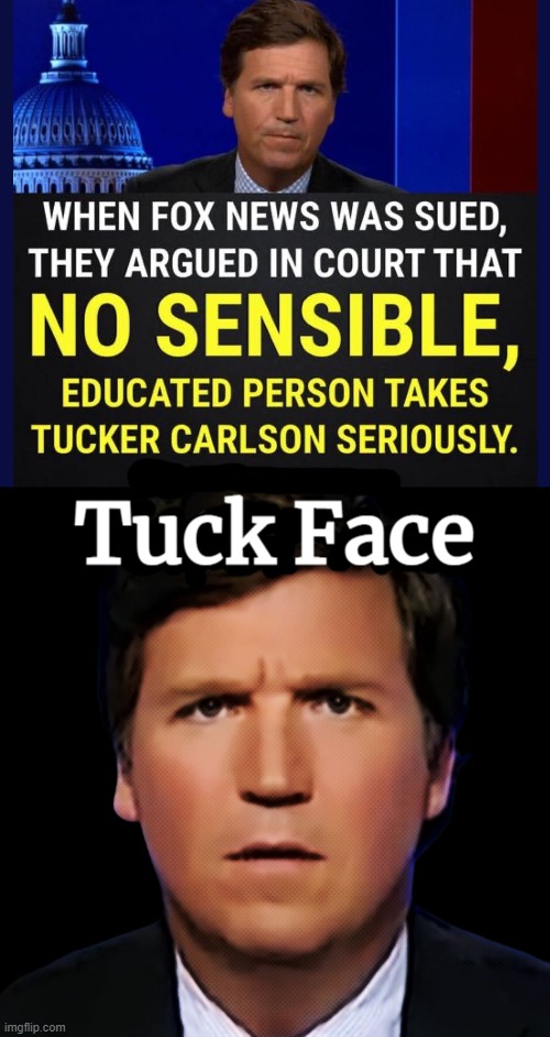 TUCK FACE... | image tagged in fox news alert,confused tucker carlson,what does the fox say,lawyers | made w/ Imgflip meme maker