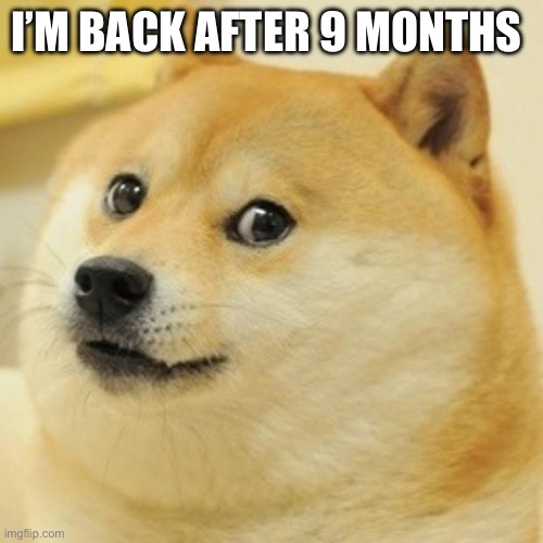 Doge | I’M BACK AFTER 9 MONTHS | image tagged in memes,doge | made w/ Imgflip meme maker