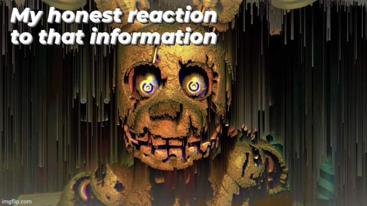 Springtrap honest reaction | image tagged in springtrap honest reaction | made w/ Imgflip meme maker