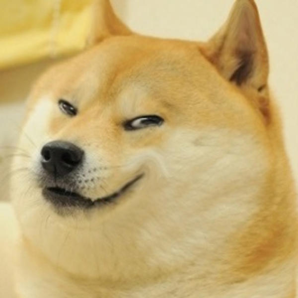 High Quality mischievous doge Blank Meme Template