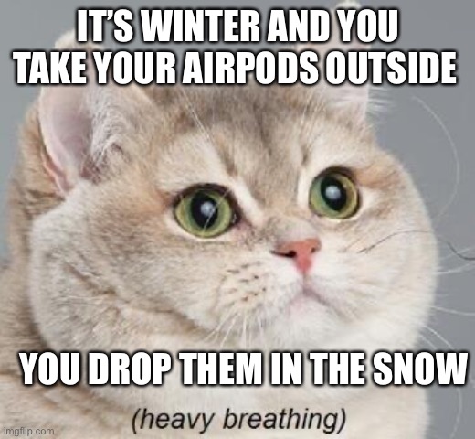 Heavy Breathing Cat Meme | IT’S WINTER AND YOU TAKE YOUR AIRPODS OUTSIDE; YOU DROP THEM IN THE SNOW | image tagged in memes,heavy breathing cat | made w/ Imgflip meme maker