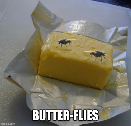 Flies in the butter | BUTTER-FLIES | image tagged in exotic butters,flies,butterfly | made w/ Imgflip meme maker