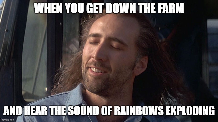 Dewatering | WHEN YOU GET DOWN THE FARM; AND HEAR THE SOUND OF RAINBOWS EXPLODING | image tagged in nicolas cage feeling you get | made w/ Imgflip meme maker