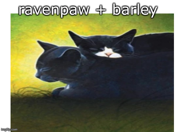 ravenpaw + barley | made w/ Imgflip meme maker