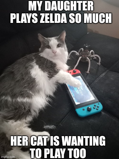 KITTY IS PROTECTING HER GAME FOR HER | MY DAUGHTER PLAYS ZELDA SO MUCH; HER CAT IS WANTING 
TO PLAY TOO | image tagged in the legend of zelda breath of the wild,cat,the legend of zelda,zelda,nintendo switch | made w/ Imgflip meme maker
