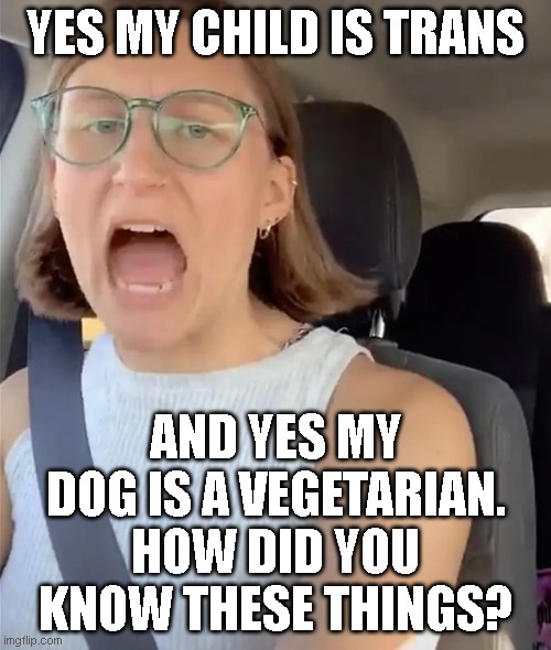 Unhinged Liberal Lunatic Idiot Woman Meltdown Screaming in Car | YES MY CHILD IS TRANS; AND YES MY DOG IS A VEGETARIAN. HOW DID YOU KNOW THESE THINGS? | image tagged in unhinged liberal lunatic idiot woman meltdown screaming in car | made w/ Imgflip meme maker