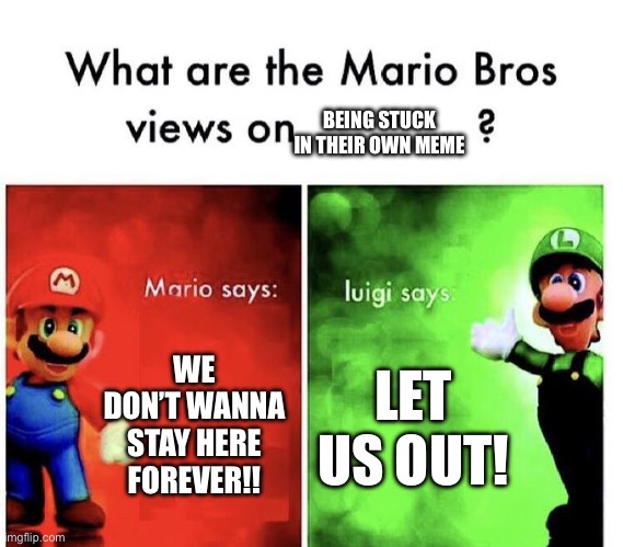 Mario and Luigi want to escape a meme | BEING STUCK IN THEIR OWN MEME; WE DON’T WANNA STAY HERE FOREVER!! LET US OUT! | image tagged in mario bros views | made w/ Imgflip meme maker