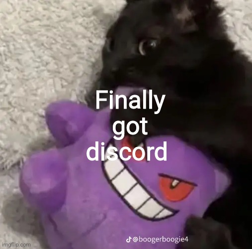Finally got discord | image tagged in msmg | made w/ Imgflip meme maker