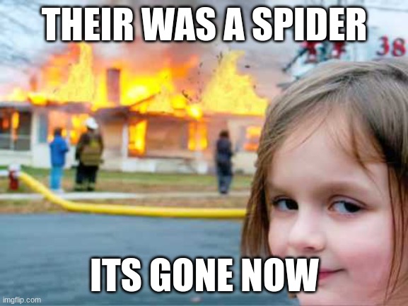 LOL | THEIR WAS A SPIDER; ITS GONE NOW | image tagged in girl smiling with house burning | made w/ Imgflip meme maker