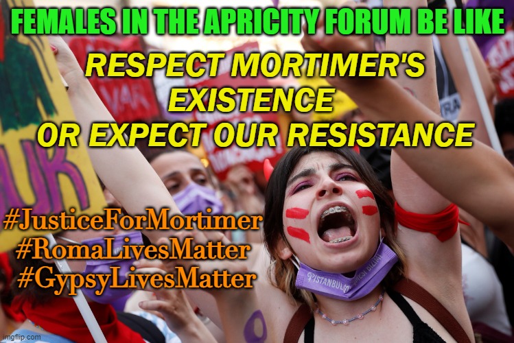 Females in The Apricity forum be like Respect Mortimer's Existence  or Expect Our Resistance | RESPECT MORTIMER'S EXISTENCE 
OR EXPECT OUR RESISTANCE; FEMALES IN THE APRICITY FORUM BE LIKE; #JusticeForMortimer 
#RomaLivesMatter 
#GypsyLivesMatter | image tagged in respect existence or expect resistance | made w/ Imgflip meme maker